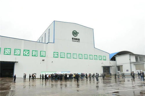 石膏新紀(jì)元 走進(jìn)優(yōu)質(zhì)石膏工廠，見證機(jī)械化施工的力量